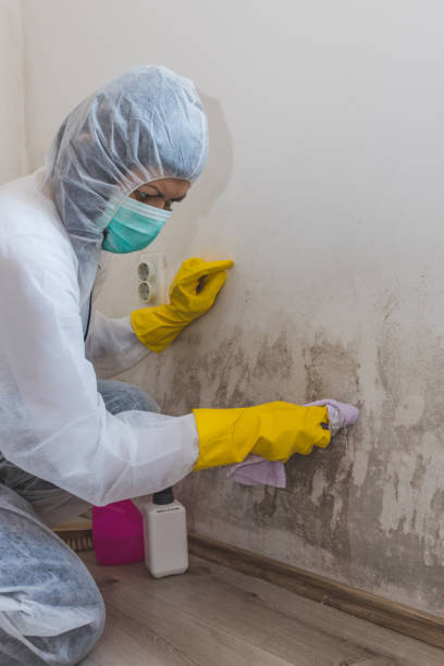 Best Dehumidification Services  in Sugarcreek, PA