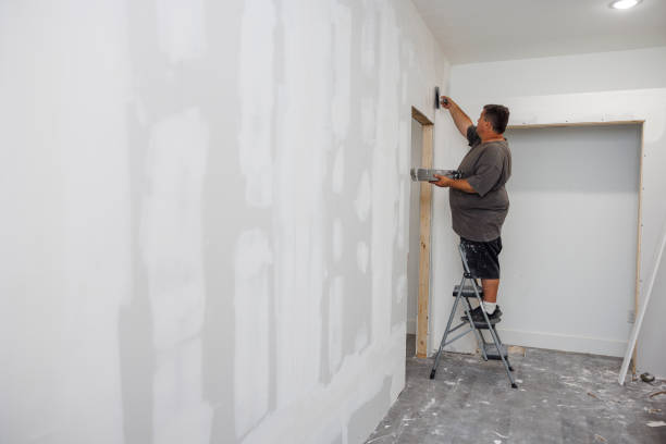 Professional Mold Removal in Sugarcreek, PA