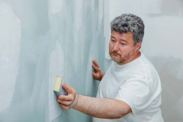 Best Mold Odor Removal Services  in Sugarcreek, PA