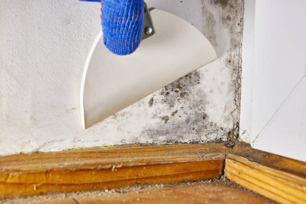 Best HVAC Mold Inspection and Cleaning  in Sugarcreek, PA